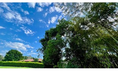 Magnífico terreno plano en el Tigre Condominio Campestre con bosque nativo. Cerritos. Pereira - Colombia