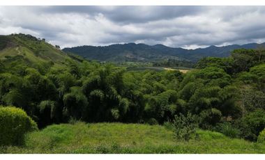 Extraordinario lote en Combia Condominio Campestre. Pereira - Colombia.