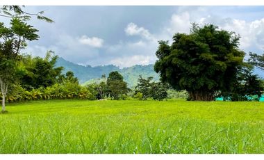 Extraordinario lote plano con arboles y vista a la montaña con 2832 m2. Entrada 4. Las Cascadas. Sazagua. Pereira.