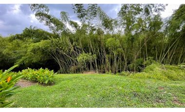 Extraordinario lote de 1517 m2 en Maturin Condominio Campestre. Pueblito Cafetero. Pereira - Colombia.