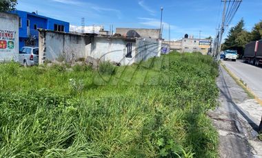 Terrenos en Renta en Buenavista