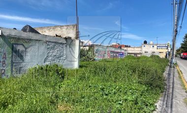 Terrenos en Renta en Buenavista