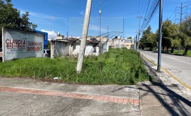 Terrenos en Renta en Buenavista