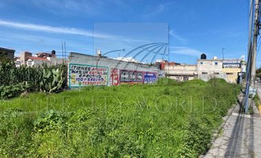 Terrenos en Renta en Buenavista