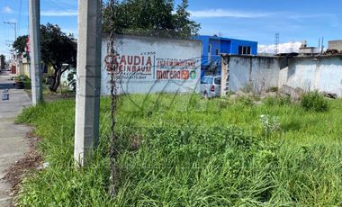 Terrenos en Renta en Buenavista