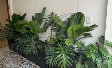 Casas en Venta en Campos San Martín