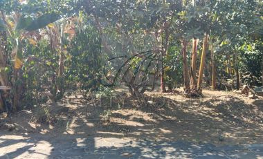 Ranchos en Venta en Malinalco