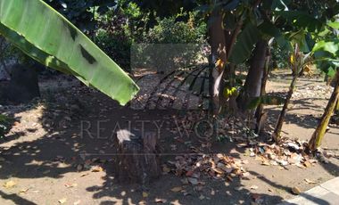 Ranchos en Venta en Malinalco
