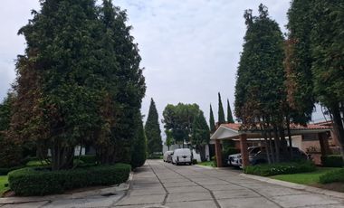 Casas en Renta en Santa Cruz