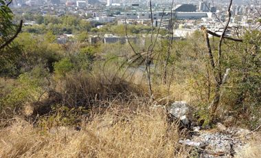 Terrenos en Renta en La Diana