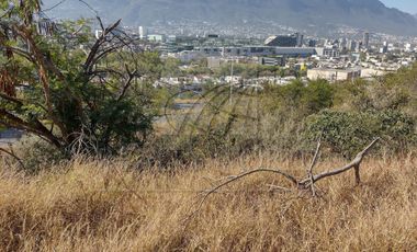 Terrenos en Renta en La Diana