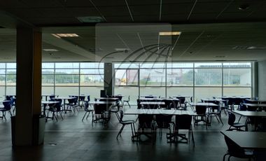 Oficinas en Renta en Paseo de las Fuentes