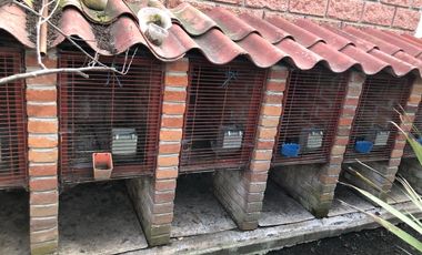 Ranchos en Venta en San Isidro