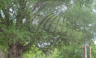 Ranchos en Venta en Higueras