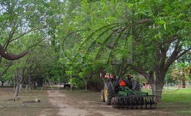 Ranchos en Venta en Higueras
