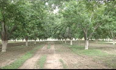 Ranchos en Venta en Higueras