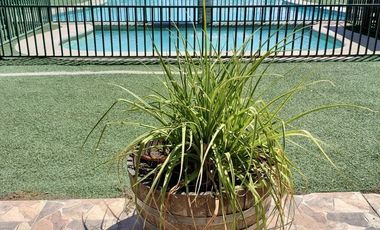 Cabañas Turísticas y Centro de Eventos