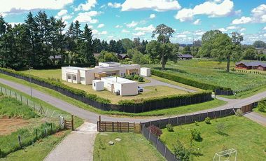 PILAUCO SCHWALM, OSORNO