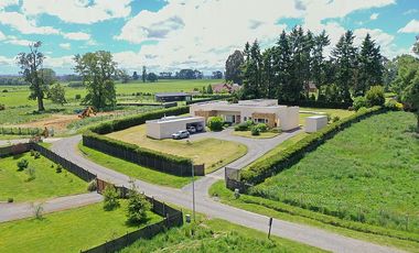 PILAUCO SCHWALM, OSORNO