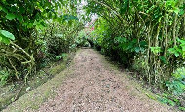Quinta en   Venta en San Miguel de los Bancos, pichincha , Ecuador.