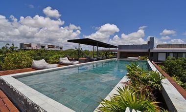 ALMA SELVÁTICA LOFT