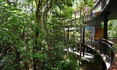 ALMA SELVÁTICA LOFT