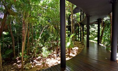 ALMA SELVÁTICA LOFT