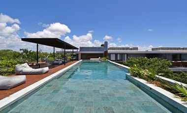 ALMA SELVÁTICA LOFT