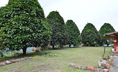 FINCA PRODUCTIVA NOCAIMA