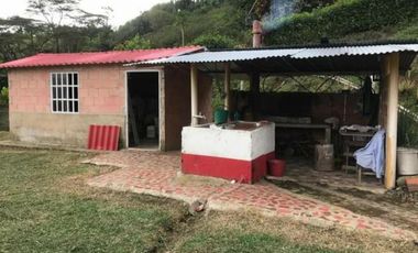 FINCA PRODUCTIVA NOCAIMA