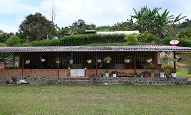 FINCA PRODUCTIVA NOCAIMA