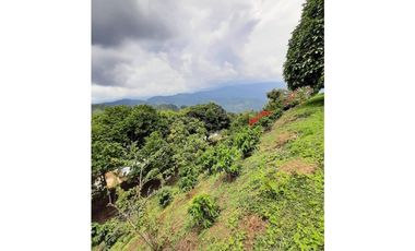 FINCA PRODUCTIVA NOCAIMA