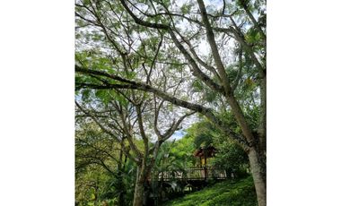 Vendo exclusiva finca en Sopetran Antioquía