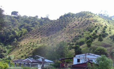 Venta Finca Buenavista Quindio - Colombia COD: 9271712