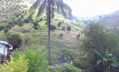 Venta Finca Buenavista Quindio - Colombia COD: 9271712