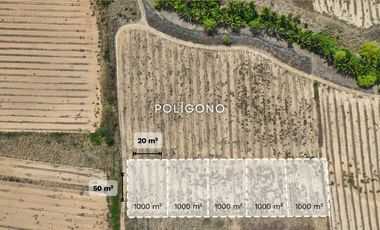 En venta Terreno en  Playa Tierra Blanca, Puerto Escondido, Oaxaca