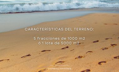 En venta Terreno en  Playa Tierra Blanca, Puerto Escondido, Oaxaca