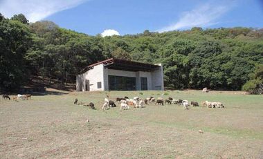 RANCHO EN VENTA EN EL ESTADO DE MEXICO