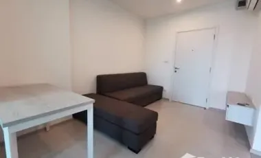 Aspie Erawan for sale