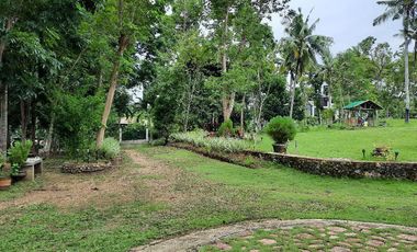 Rooms in peaceful farm setting in southern Cebu for rent