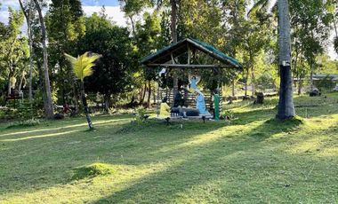 Rooms in peaceful farm setting in southern Cebu for rent