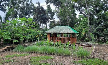 Rooms in peaceful farm setting in southern Cebu for rent