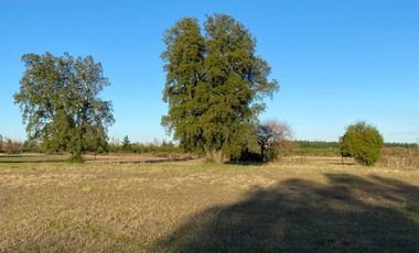 Parcela en venta en LAJA