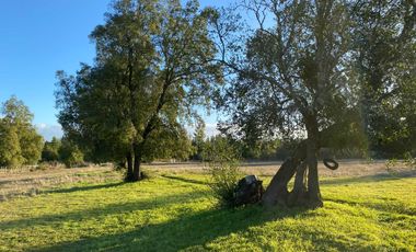 Parcela en venta en LAJA