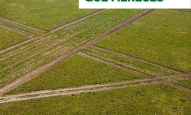 Lotes en Gran Hábitat - Ibarlucea