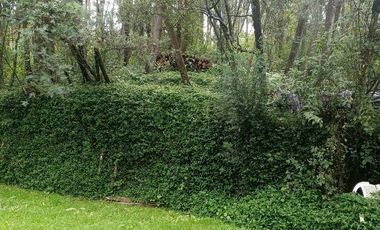 OPORTUNIDAD : EN VENTA QUINTA CON JARDINES, ARBOLES, PARROQUIA DE LA MERCED