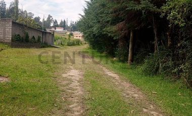 OPORTUNIDAD : EN VENTA QUINTA CON JARDINES, ARBOLES, PARROQUIA DE LA MERCED