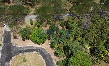 Promenade Lot for Sale Near The Entrance