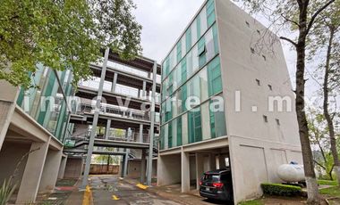 Cima Esmeralda en Bosque Esmeralda