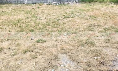 valle de los naranjos